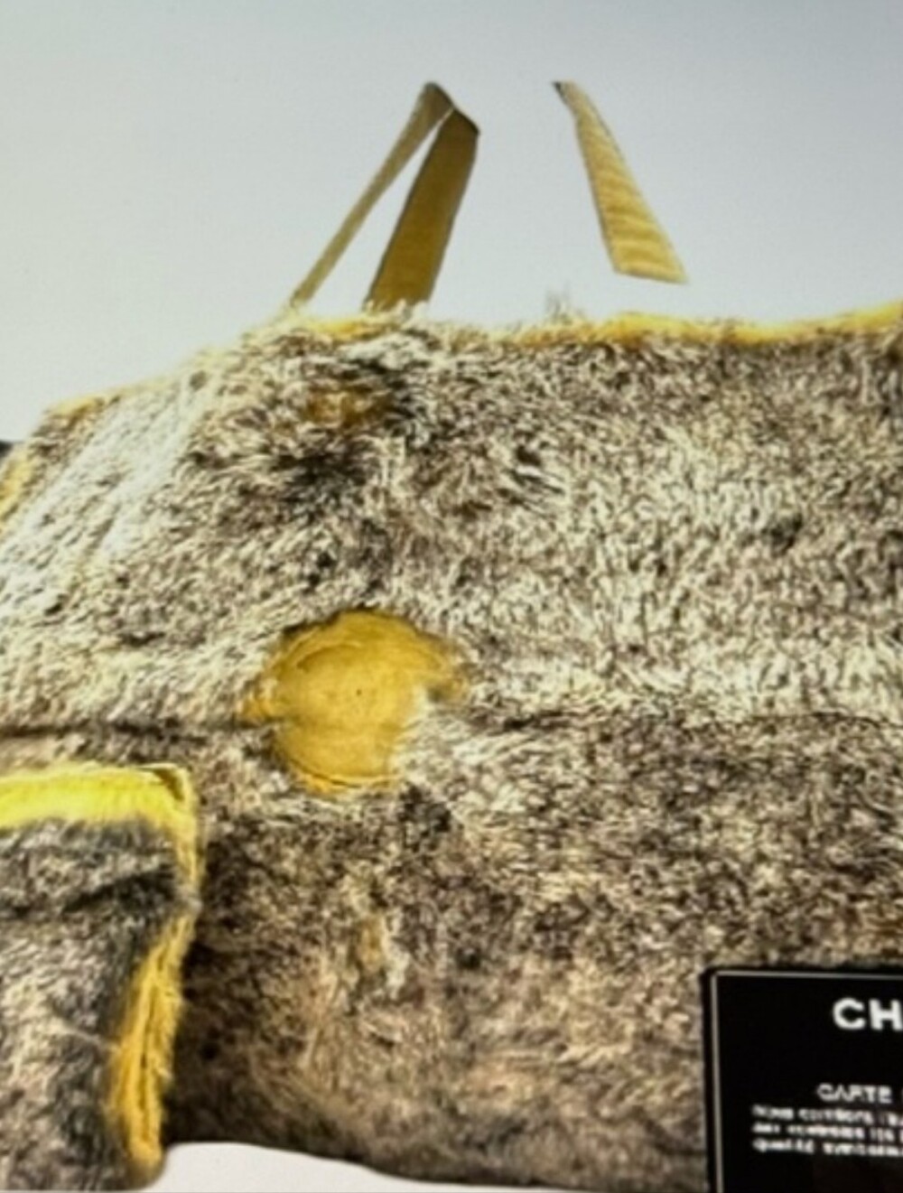 Chanel Lapin Tote With Pouch